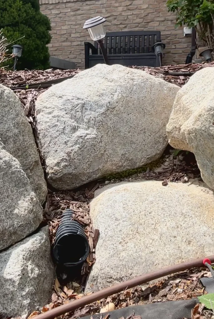 Cleaned downspout drain