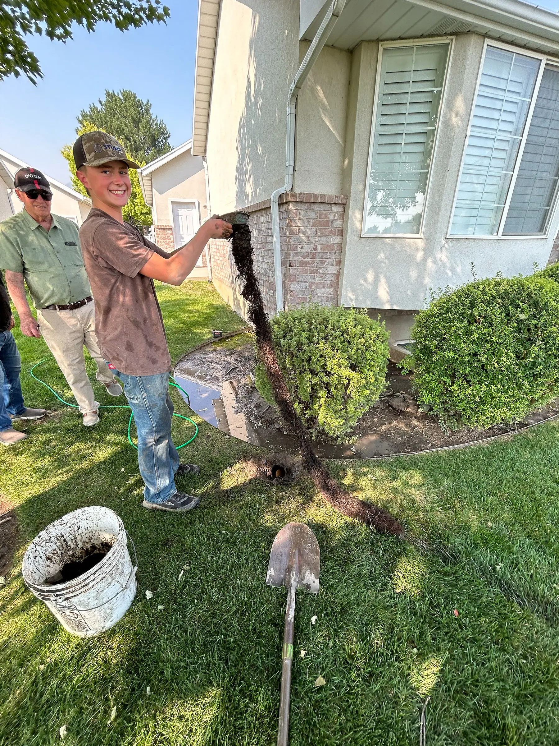 Roots clogging a rain gutter downspout drain pipe
