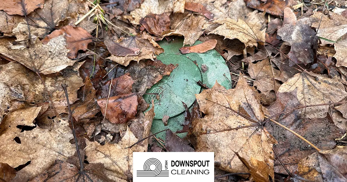 Featured image for “7 Underground Downspout Maintenance Tips Every Multi-Unit Property Owner Should Know”