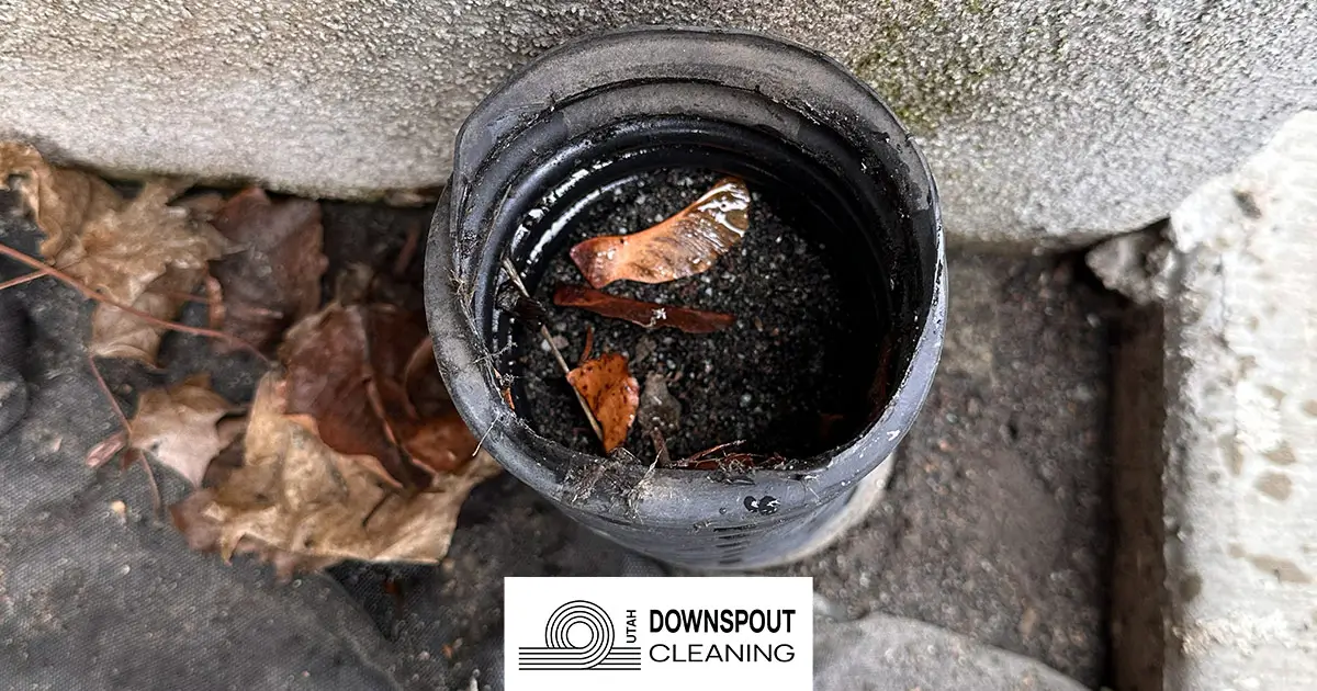 Featured image for “7 Warning Signs Your Underground Downspout Needs Attention”